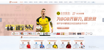 B熊猫体育 - 德甲多特蒙德官方合作伙伴 6 B熊猫体育